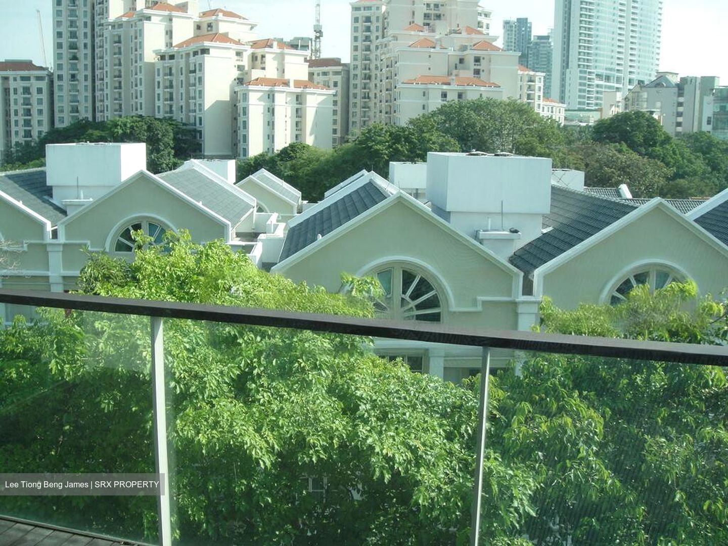 Belle Vue Residences (D9), Condominium #466466411